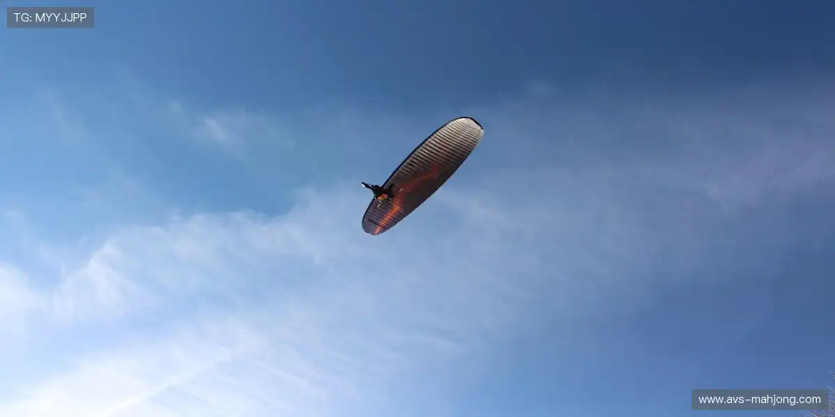 📺关键段落锁定播放,再也不会错过亮点!🎥